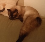 Евгения, Набережные Челны