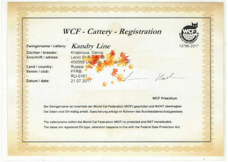 WhatsApp Image 2025-02-03 at 08.19.26 (1).jpeg WhatsApp Image 2025-02-03 at 08.19.26 (1).jpeg